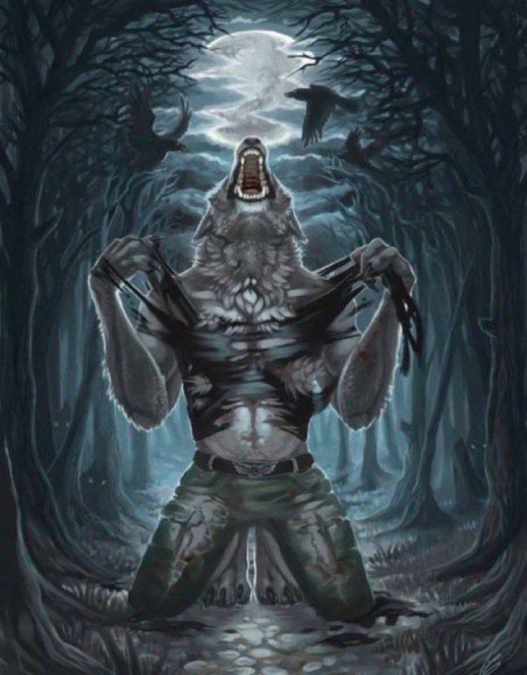 big bad wolf
